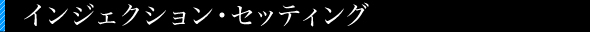 インジェクションセッティング